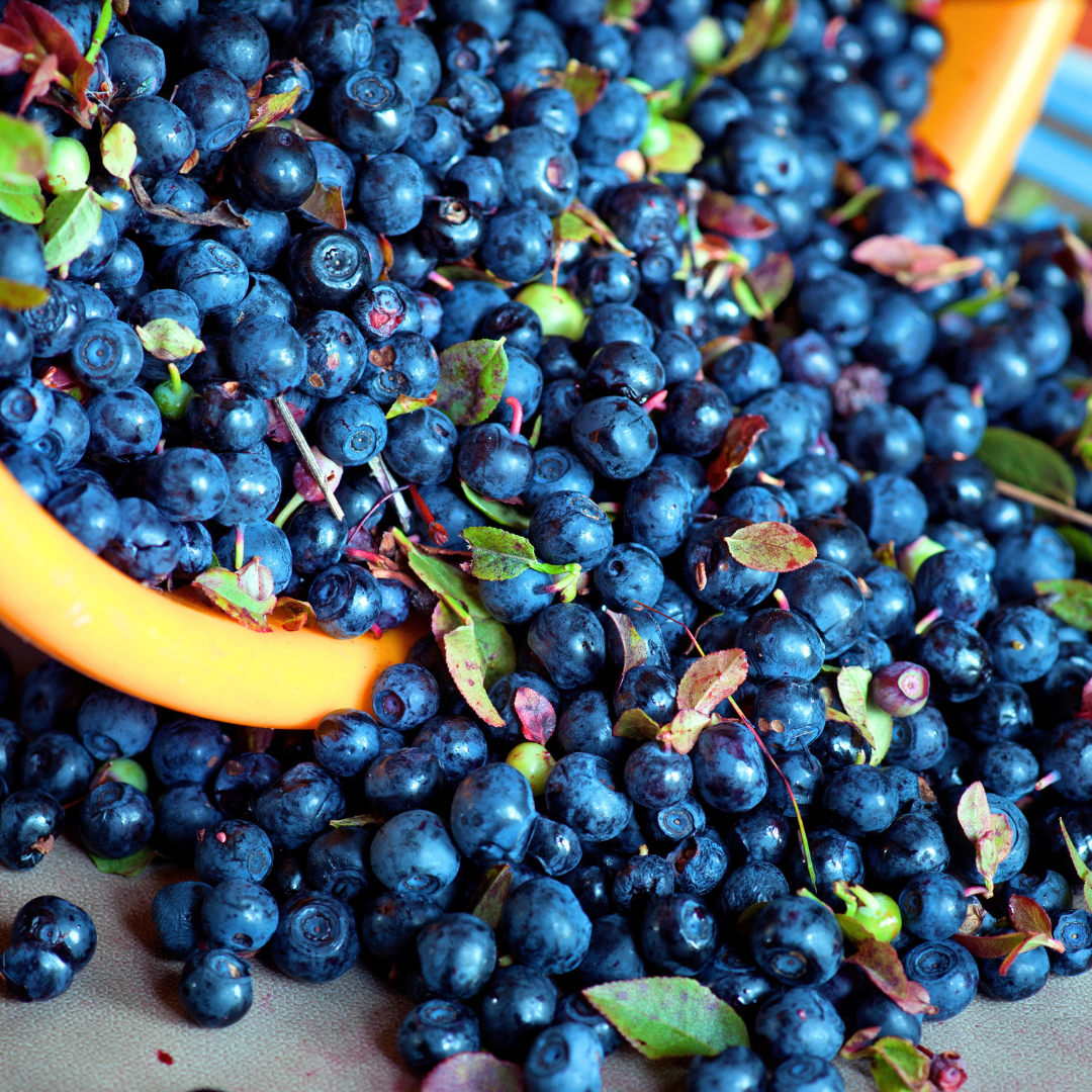 Polyphenole: Das Geheimnis für deine Gesundheit